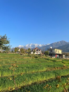palampur