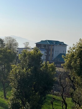 palampur