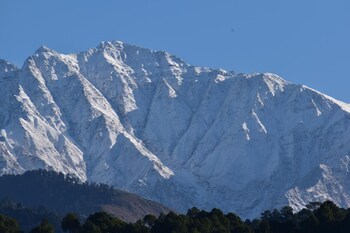 palampur