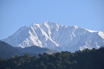 palampur