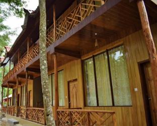 white coral beach resort