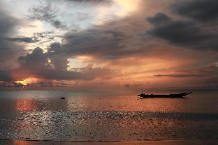 white coral beach resort