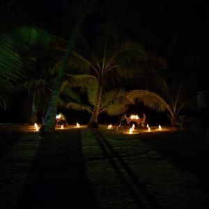 white coral beach resort