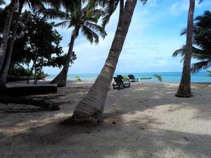white coral beach resort