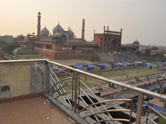 new delhi