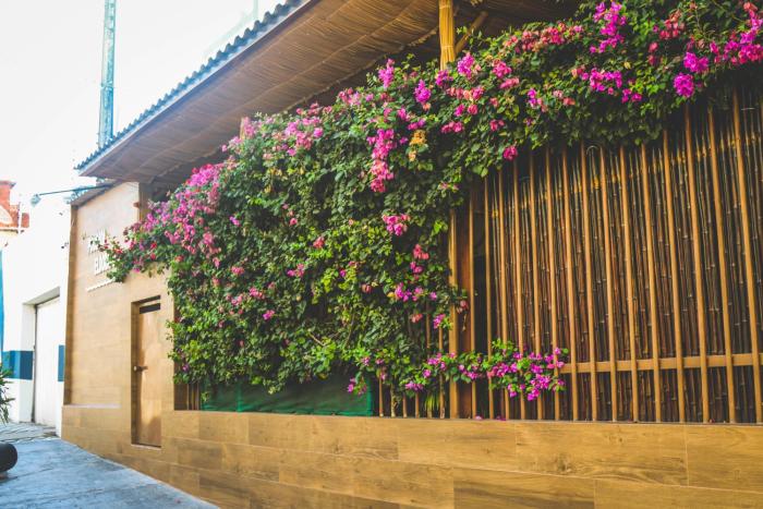 el dorado hotel