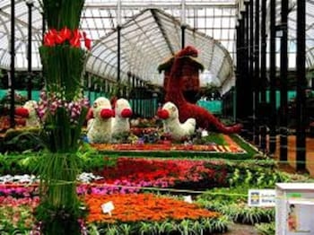 the porch inn hotel and service apartments