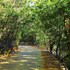 logan camp ooty
