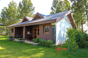 logan camp ooty