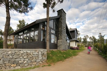 logan camp ooty