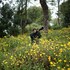 logan camp ooty