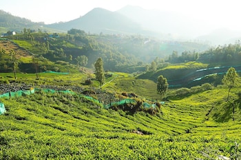 logan camp ooty