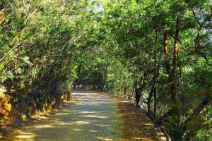 logan camp ooty