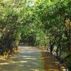 logan camp ooty