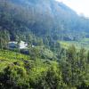 logan camp ooty
