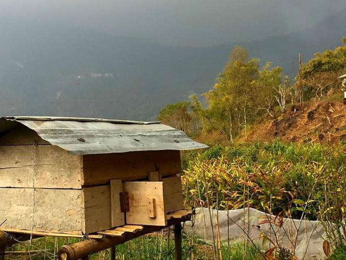 vamoose parkha sikkim