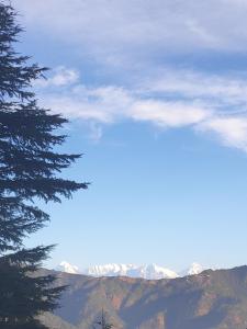 The Himalayan Living,Nainital>>Bhimtal,3 star