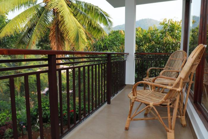 coffee and pepper plantation homestay