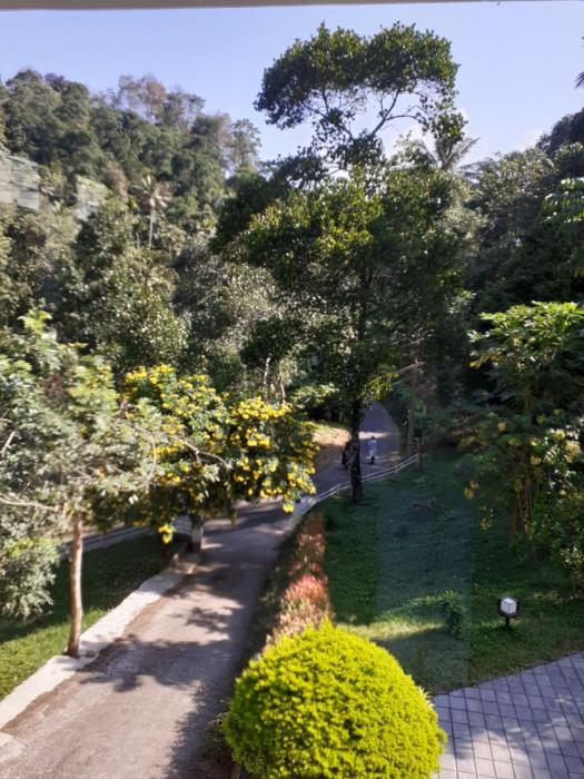 coffee and pepper plantation homestay