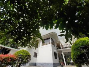 coffee and pepper plantation homestay