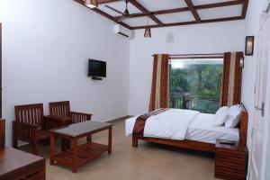 coffee and pepper plantation homestay