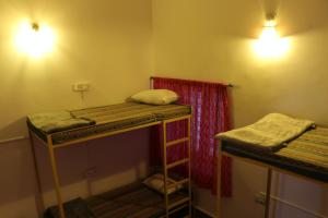 Shepherd Stories - Hostel photo 3