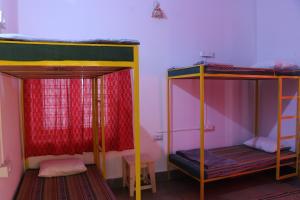 Shepherd Stories - Hostel photo 5