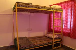 Shepherd Stories - Hostel photo 4