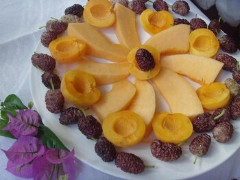 Giardino Di Sicilia,Catania>>Brolo,2 star