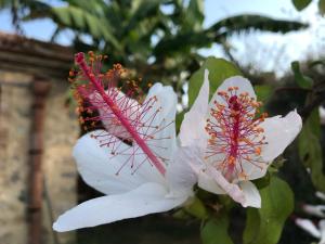 santagata di militello