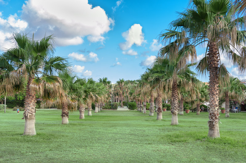 campofelice di roccella