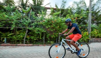 the estate resort bar and restaurant