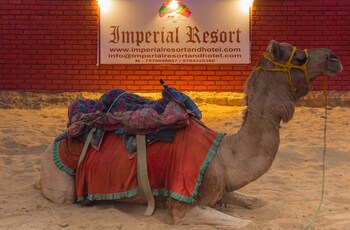jaisalmer
