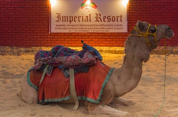 jaisalmer