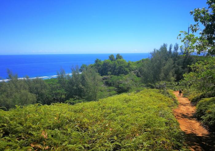 rarotonga