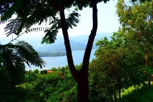 medha