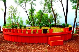 medha