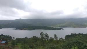 medha