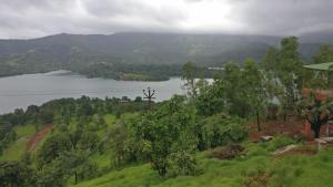 medha