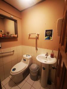 toucan hostel