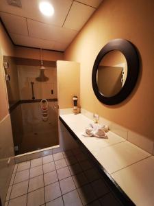 toucan hostel