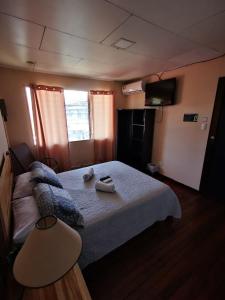 toucan hostel