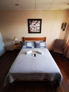 toucan hostel