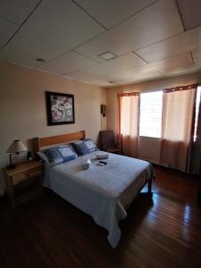 toucan hostel