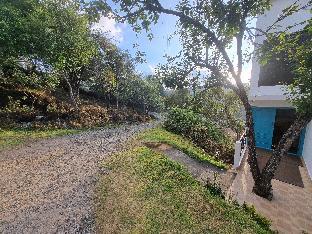 pearwoods