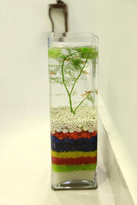 bluivy serviced apartments