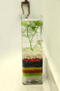 bluivy serviced apartments