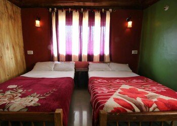 jungle mount adventure camp hostel