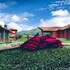 jungle mount adventure camp hostel