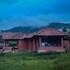 jungle mount adventure camp hostel